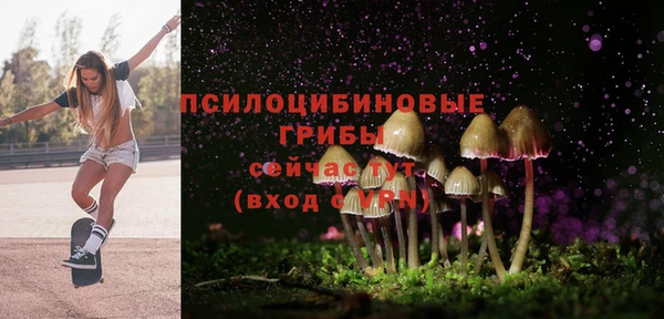молекула духа Балахна