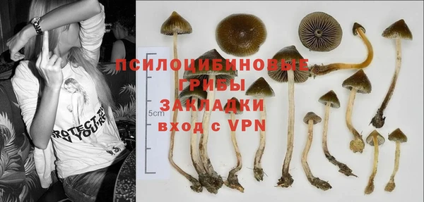 молекула духа Балахна