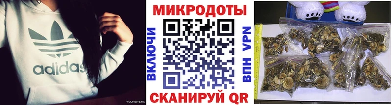 мега вход  Кондрово  Псилоцибиновые грибы GOLDEN TEACHER  как найти закладки 